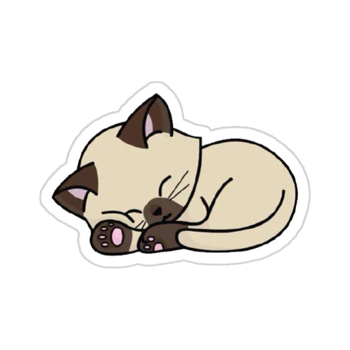 Cat [9]